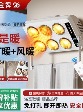 金牌浴霸挂壁式老式灯泡取暖器卫