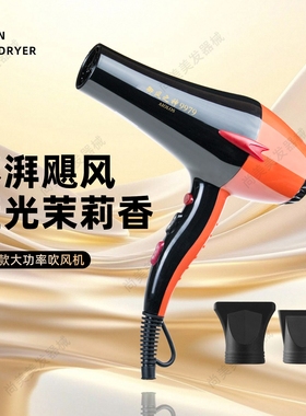 御风之神AIOLOS9979电吹风机家用大功率理发店发廊冷热风筒2300W
