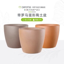 Deroma帝罗马蛋型陶土花盆园艺红陶白陶摩卡陶盆网红阳台