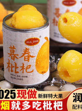 【旗舰店】allday暮春枇杷罐头慕春无防腐添加剂水果罐头新鲜琵琶