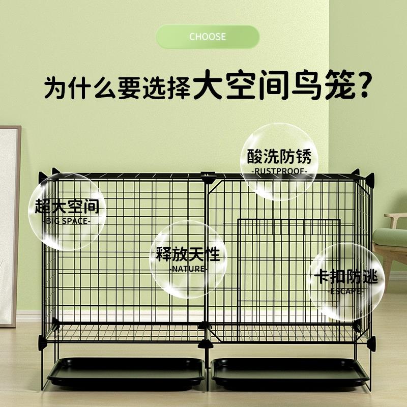 包邮加粗鸽子笼子鸽子用品用具鸽子笼大号鸡笼家用鸽子养殖笼子