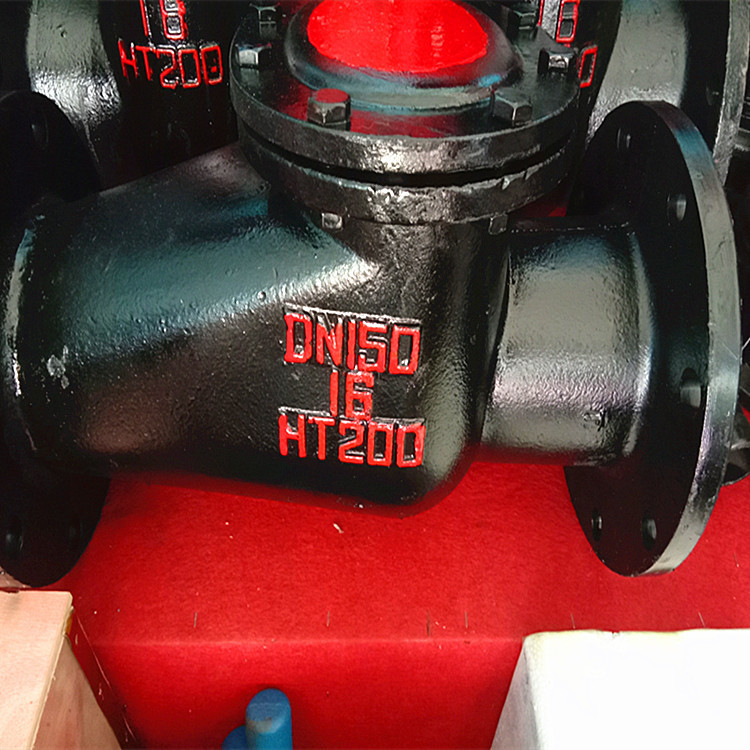 H44T-10/16 DN100   越海铸铁阀门   铸铁铜芯硬密封止回阀