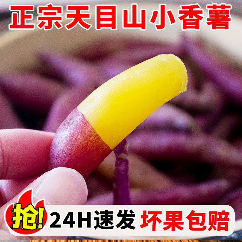 临安天目山正宗小香薯农家自种地瓜小番薯新鲜板栗红薯蜜薯旗舰店