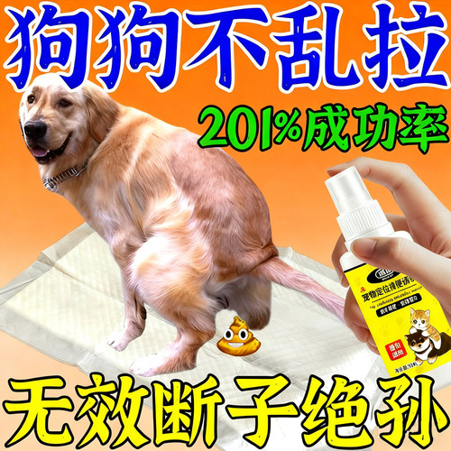 狗狗定点排便神器宠物不乱拉屎