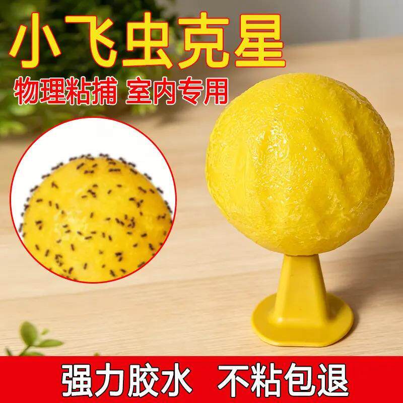 【下单立减50】室内诱蝇球果蝇球灭蝇神器安全环保持久厨房客厅BW