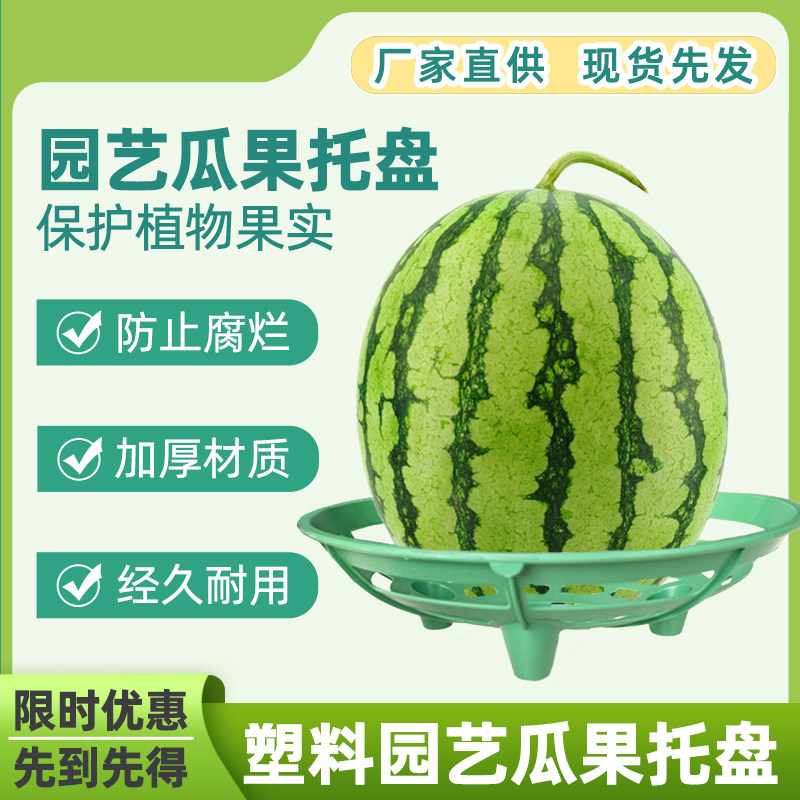 西瓜种植垫果蔬托盘园林专用种植架盆栽瓜果防腐烂固定果实支撑架