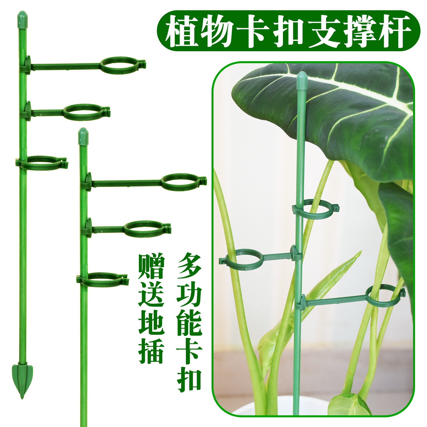 植物可调节卡扣支撑杆绿植龟背竹天堂鸟天鹅绒固定支架园艺防倒伏