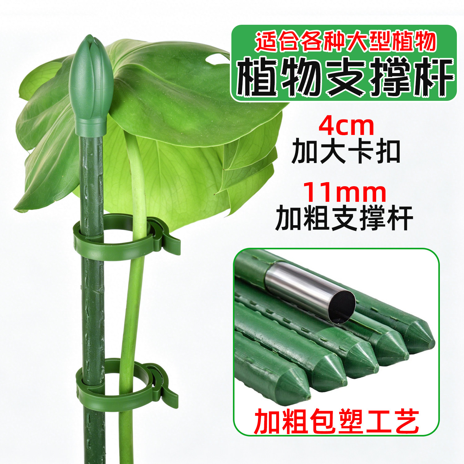 园艺支撑杆植物大型老桩龟背竹朱顶红爬藤支架菜园西红柿包塑钢管图片