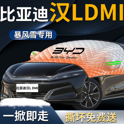 【比亚迪汉L】汽车遮雪挡