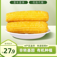 维珍农稼东北甜糯玉米单根300g以上新鲜黏玉米棒真空苞米肥减代餐
