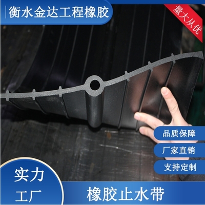 橡胶止水带国标中孔钢边止水带外贴隧道水库堤坝背贴橡胶止水带