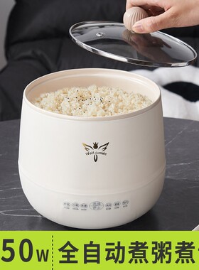 煮粥专用锅不溢锅电煮锅神器全自
