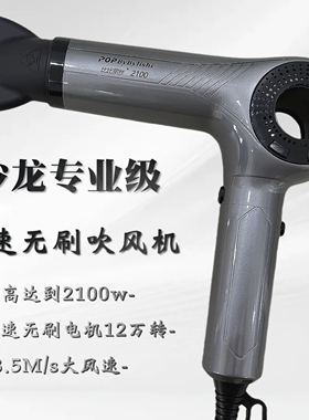 比比丽丝2100负离子无刷吹风机理