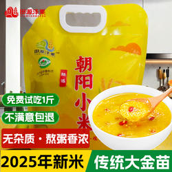 田源泽粟 2025年新米 东北辽朝阳小米5斤 农家自产黄小米建平直发