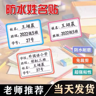 幼儿园小学生初中生一年级班级名字贴防水防撕姓名贴帖纸标签定制
