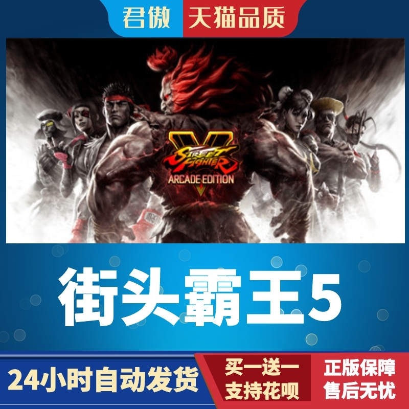 SteamPC正版游戏街头