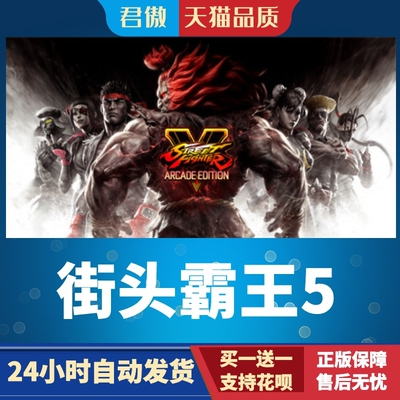 SteamPC正版游戏街头