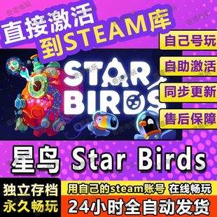 单机电脑游戏全球区兑换码 steam游戏cdkey激活码 入库 Birds Star