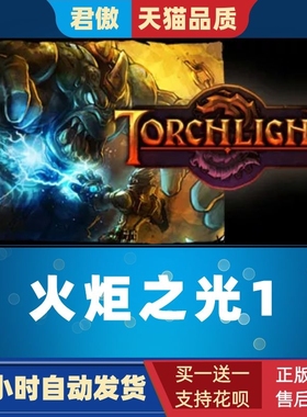 Steam PC正版 游戏 火炬之光 Torchlight I 火炬之光1 火炬之光