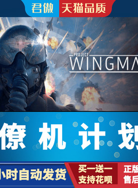 Steam PC正版 游戏  僚机计划 翼人计划 Project Wingman 君傲数