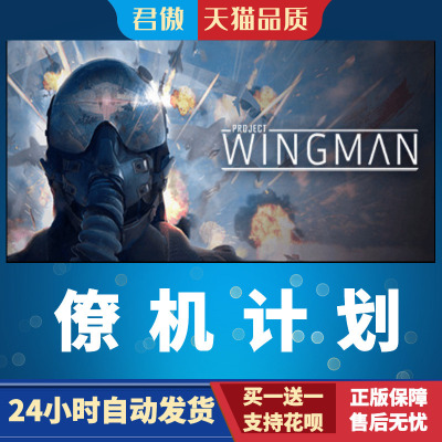 SteamPC正版游戏僚机计