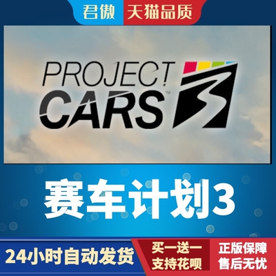 SteamPC正版游戏赛车