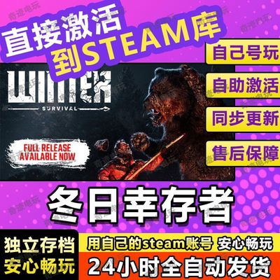 冬日幸存者steam游戏cdkey激活码入库单机电脑游戏全球区兑换码PC