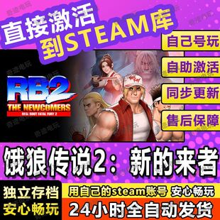 单机电脑游戏兑换码 入库 来者steam游戏cdkey激活码 饿狼传说2新