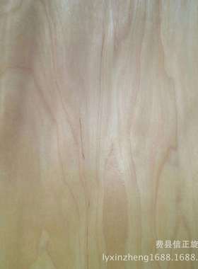 旋切1220mm*2440mm家具板用桦木面皮