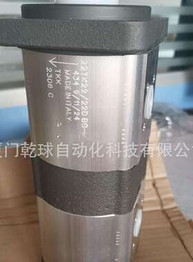 国外渠道意大利TKK双联泵22TK22/22DBC进口齿轮泵