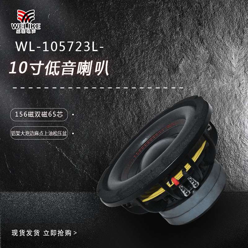 10寸铝架156磁双磁65芯双出线4+4欧汽车低音炮 car subwoofer
