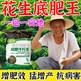 花生千斤底肥王高产增产膨壮粒粒宝彭大增收专用叶面肥分叉下针剂