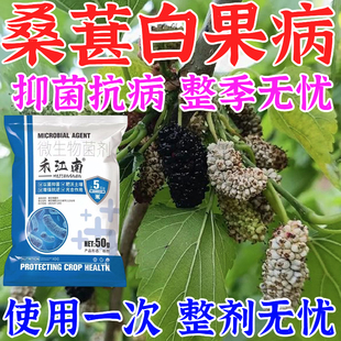 桑葚白果病专用药桑树菌核病炭疽病全关杀菌肥料全治杀菌剂农用