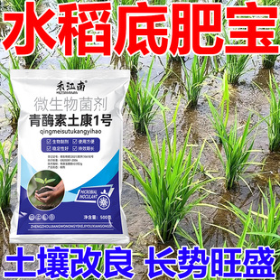 水稻底肥宝水稻种植专用调理土壤促根壮苗改善品质微生物肯
