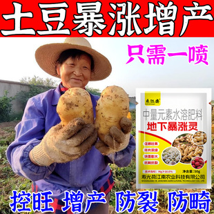 胖土豆拌种剂地下根茎膨大素土豆红薯地瓜马铃薯大蒜生姜专用肥料