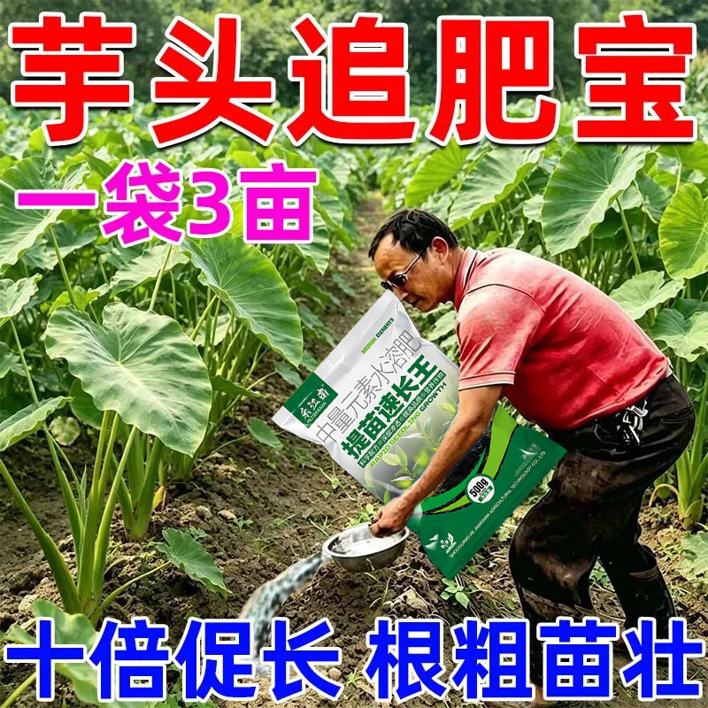 芋头追肥宝芋头生根壮苗肥促生长叶面肥芋头根系粗壮快速生长