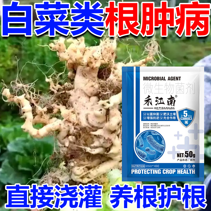 白菜根肿病专用药白菜油菜青菜根瘤根腐黄叶软腐烂根专用根线虫病