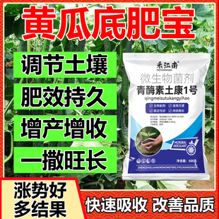 黄瓜高产底肥宝黄瓜种植专用改善土壤提高产量抗病增产微生物菌剂