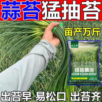 大蒜宝宝抽口松苔剂大蒜返青抽薹肥防干尖黄叶专用肥膨大增产肥料