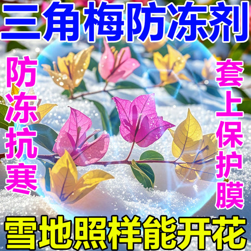 三角梅防冻剂冬天植物花卉抗寒防寒过冬神器保暖保温罩越冬抗冻液