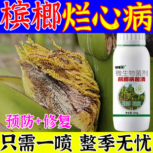 槟榔病全治叶斑病细菌性条斑烂心药黄化病炭疽芽腐果腐专用杀菌剂