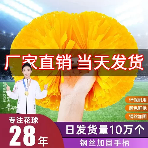 花球啦啦队啦啦操手花拉拉队手拿
