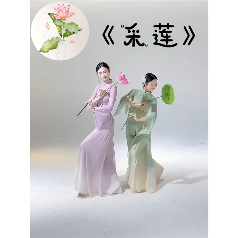 真荷叶荷花古典舞采莲舞蹈入莲间