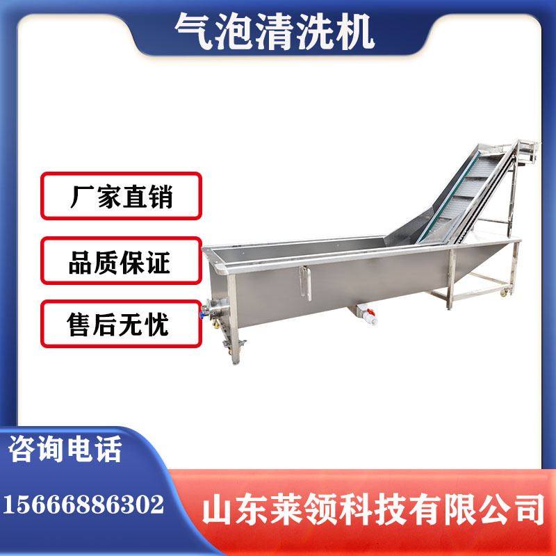 工业蔬菜气泡洗菜机 蔬菜海鲜清洗机 商用豆芽气泡清洗机