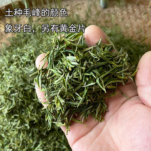 2026新茶黄山毛峰散装明前浓香型安徽黄山绿茶叶土种毛尖春茶