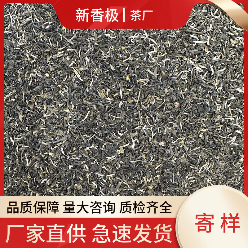 2025年横县茉莉花茶新茶茉莉花茶高碎香气浓郁芽头显露