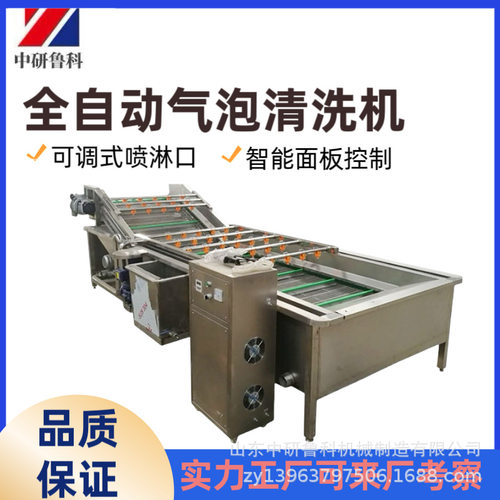 多功能喷淋清洗机 芹菜油菜番茄去农残清洗设备 全自动气泡清洗机