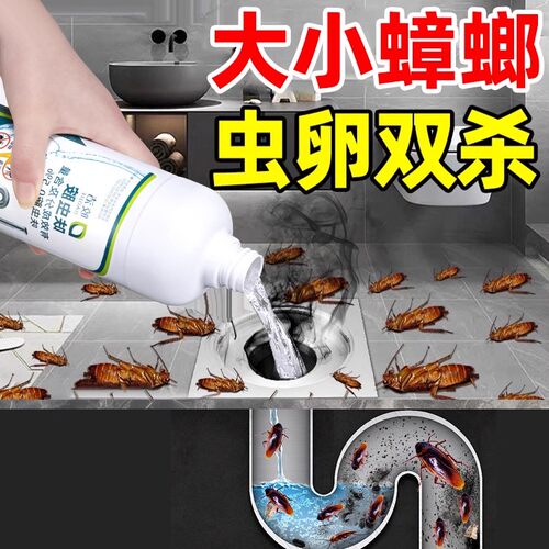 下水道蟑螂药家用杀防蟑螂神器