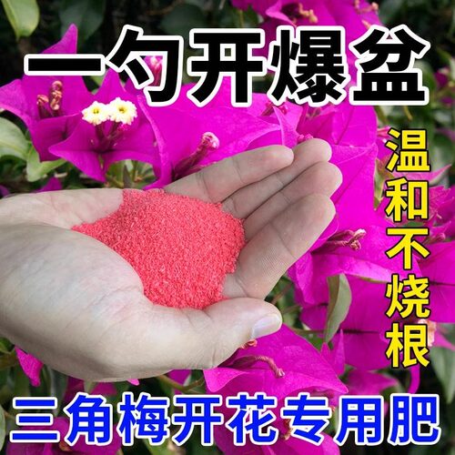 【专治不开花】通用型开花粉