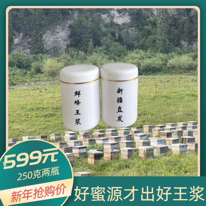 新疆黑蜂鲜王浆2024年新品高活性枣花蜂皇浆500克